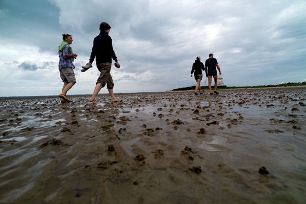 Caminar entre marismas por Juist